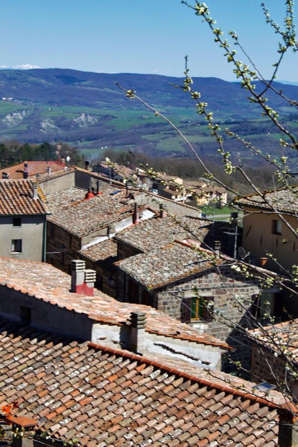 Rifugio Via Francigena Apartment Radicofani Luaran gambar